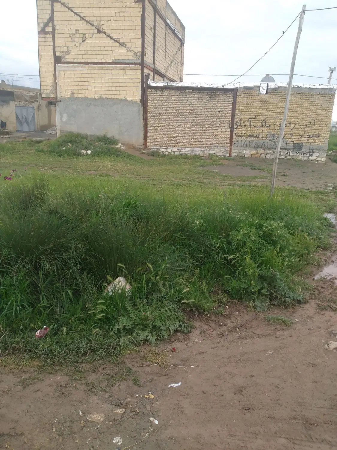 زمین کرناچی