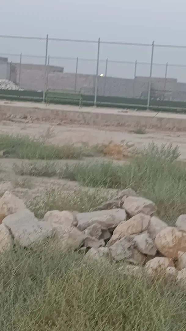 زمین مسکونی روستای تلسیاه مخصوص خونه باغ