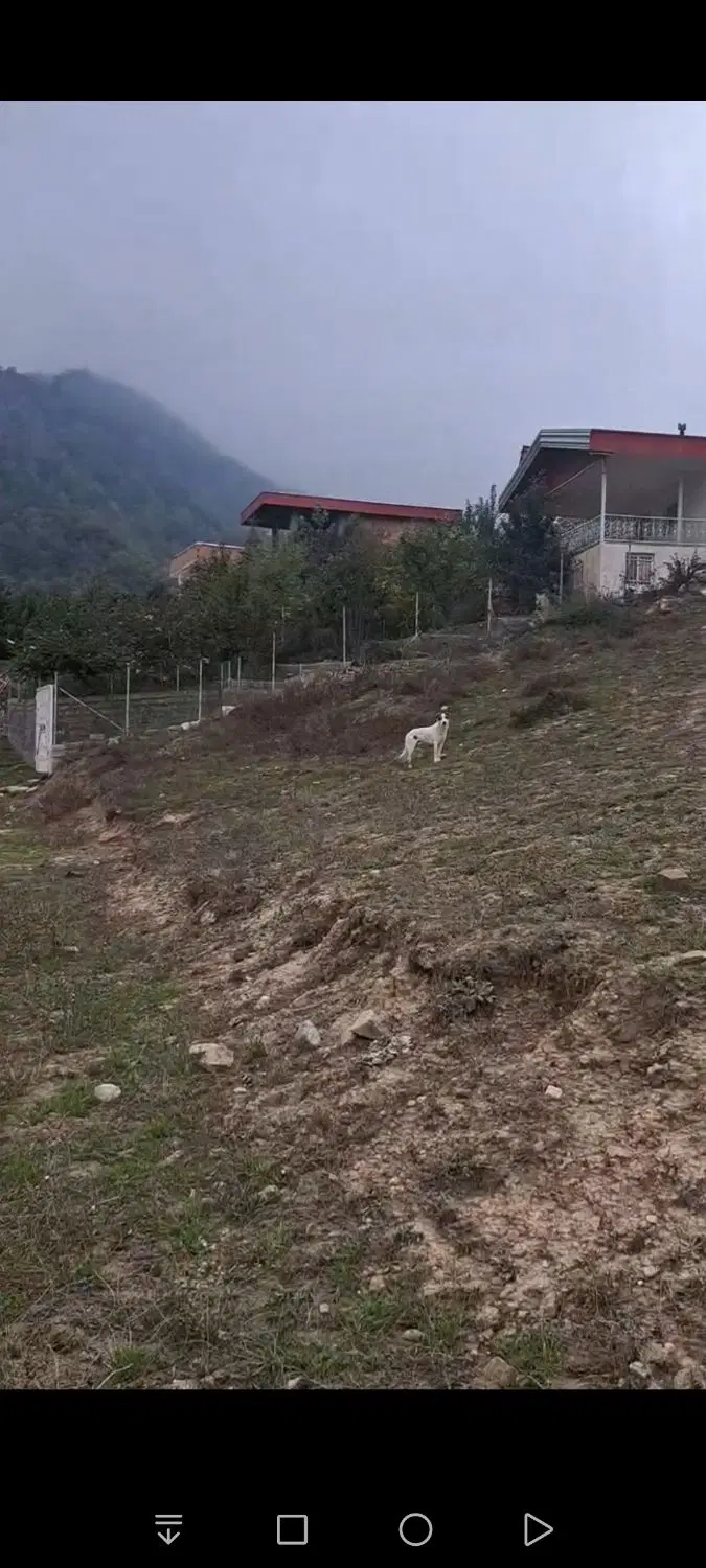 زمین زیارت ۲۰۰ متر معاوضه خودو محله لکه