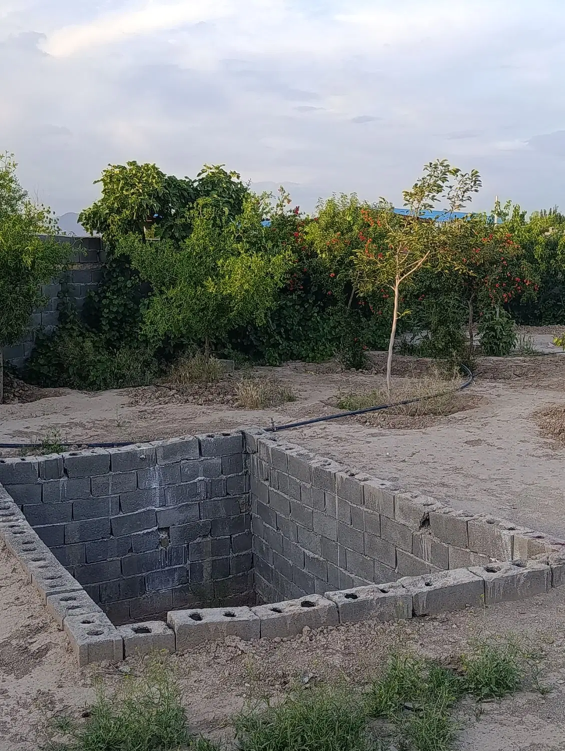باغ ویلا باغچه