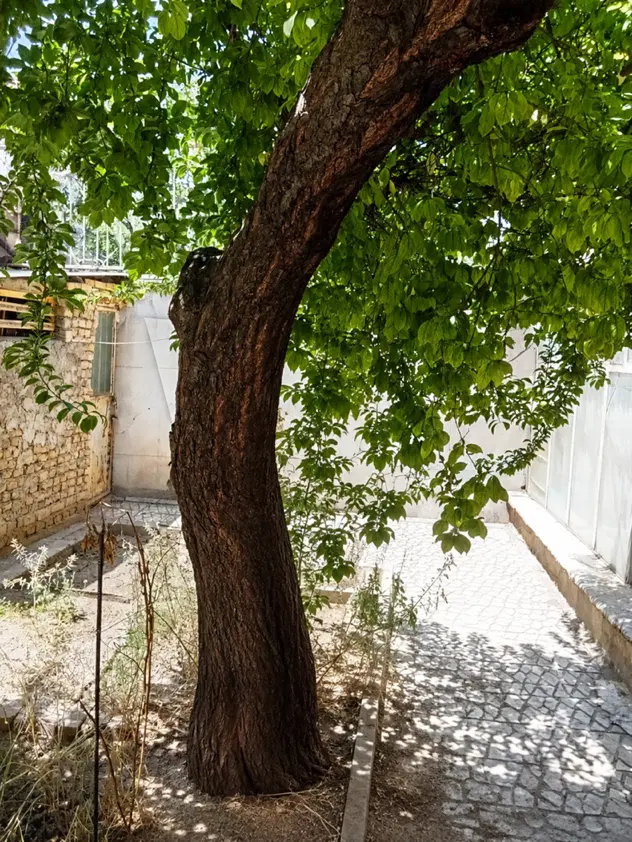 خانه ۲۵۰ متری ۳ طبقه