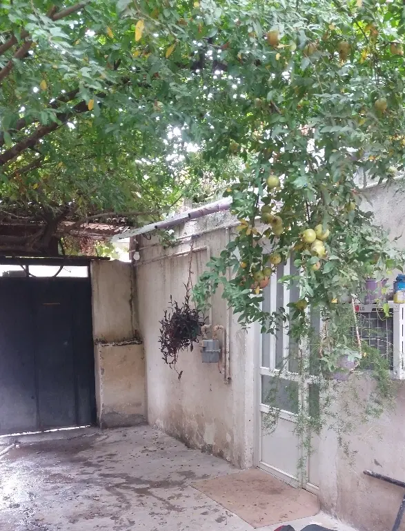 ویلا‌اجاره‌ای