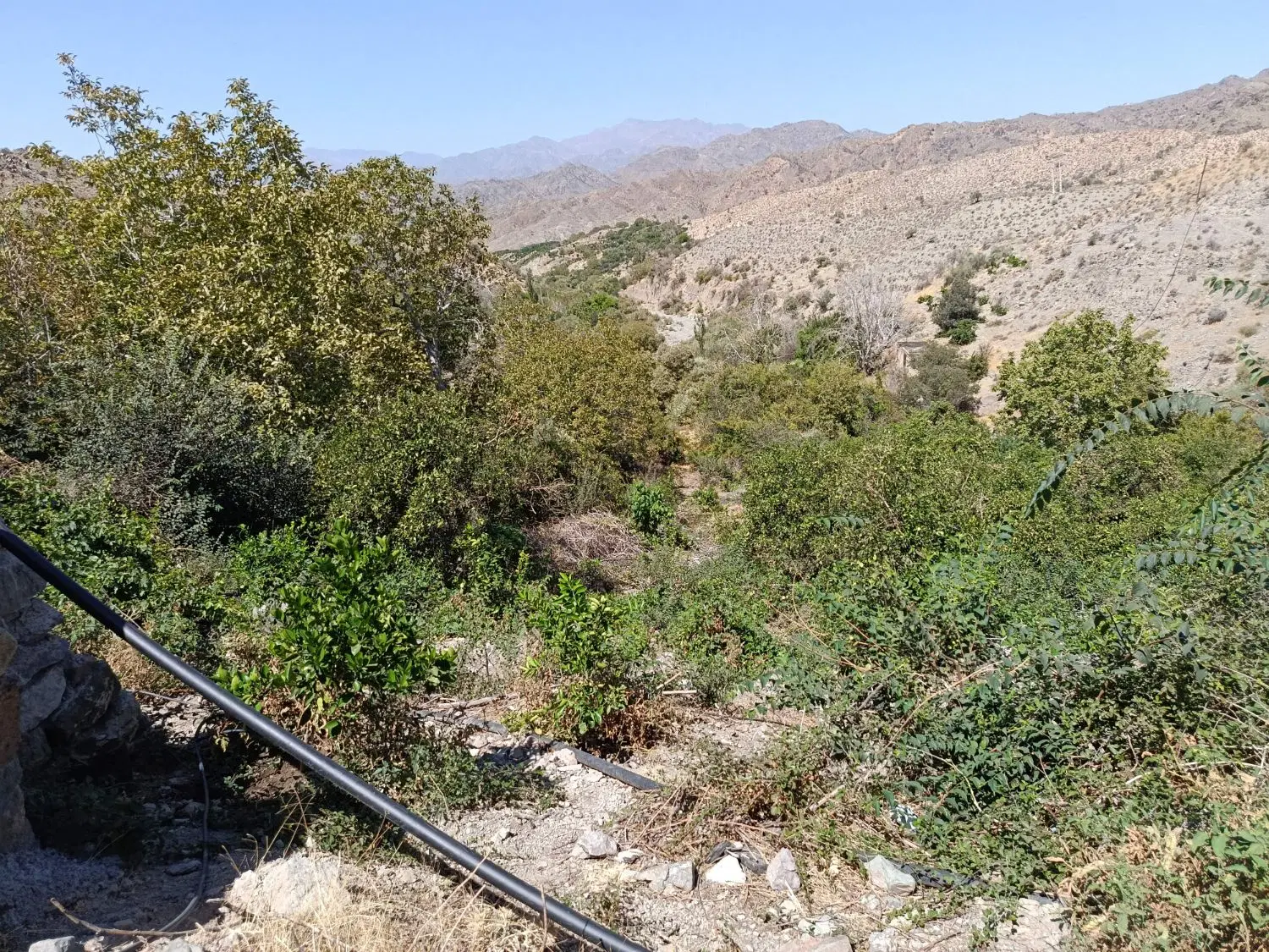 زمین سیادک