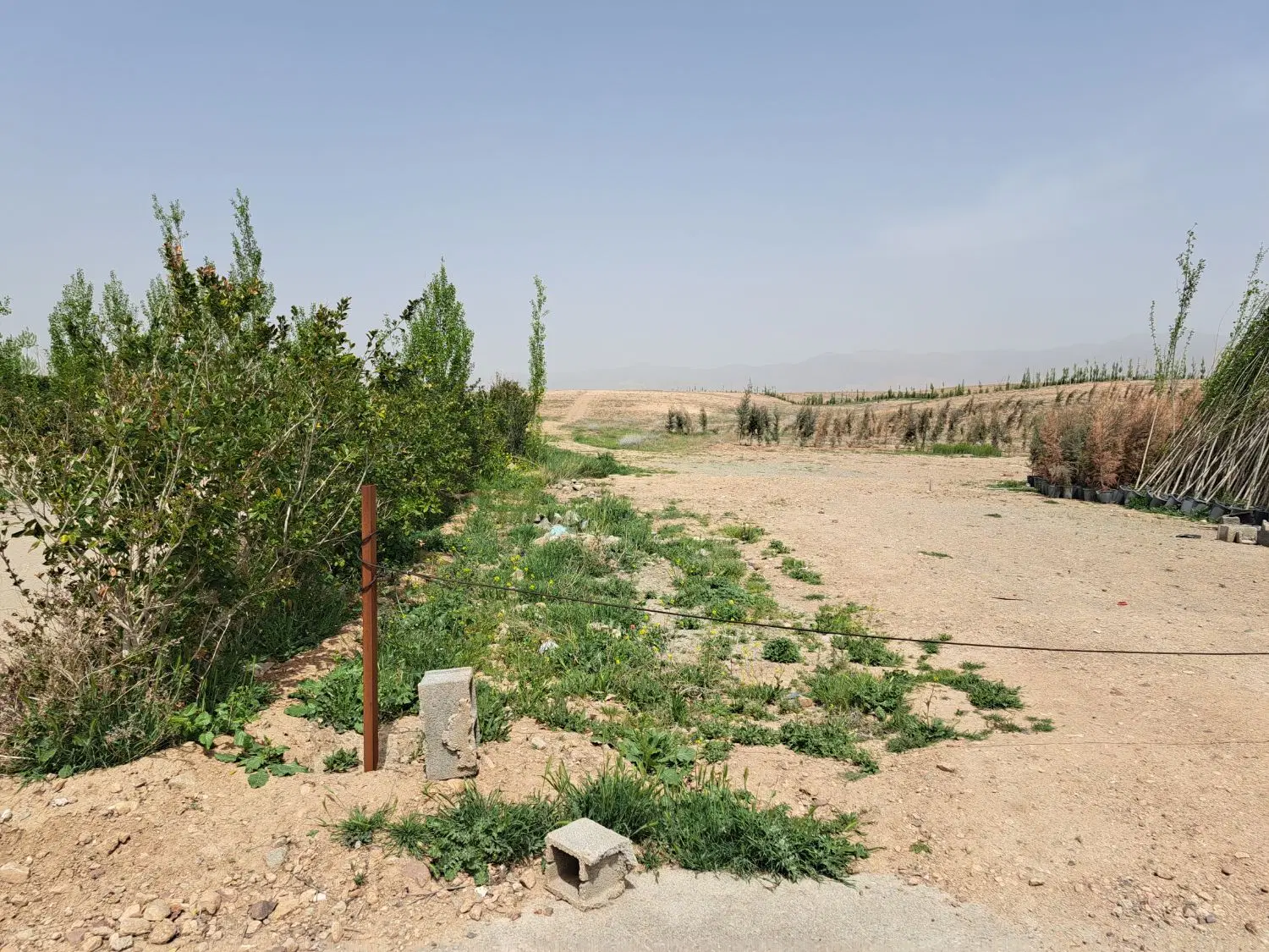 ۳۰۰ متر مربع زمین کوشک زر شهر مهستان (هشتگرد جدید)