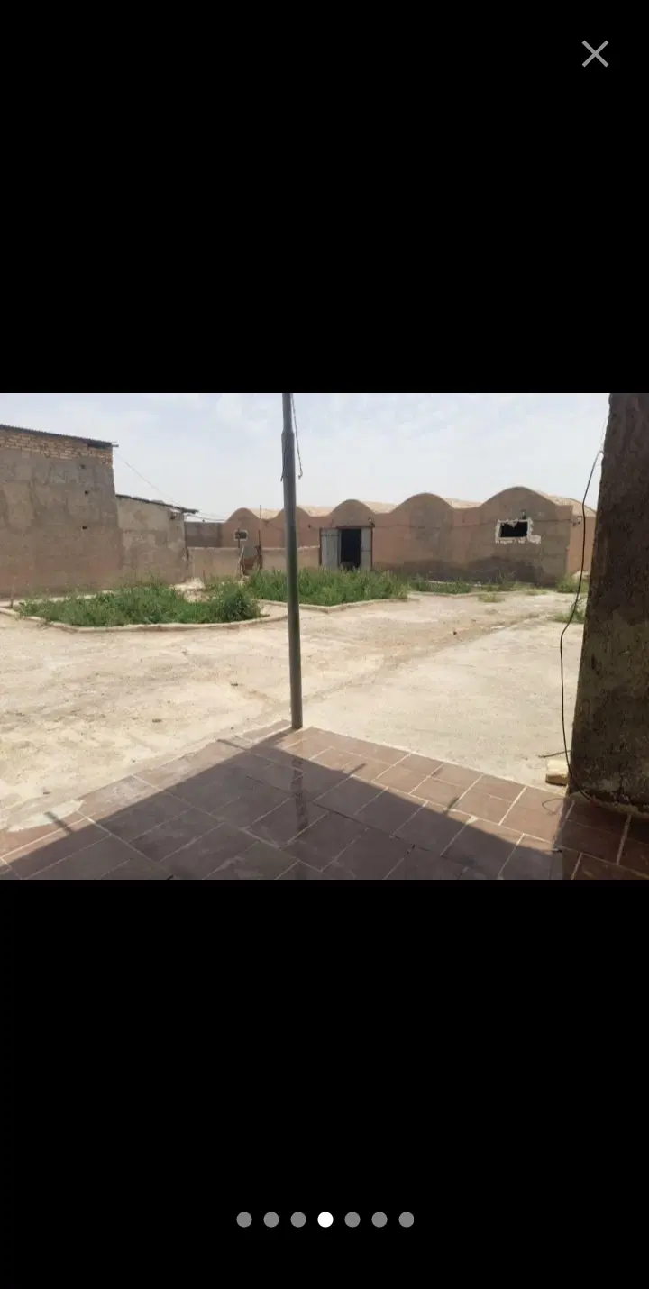 دامداری 50 راسی