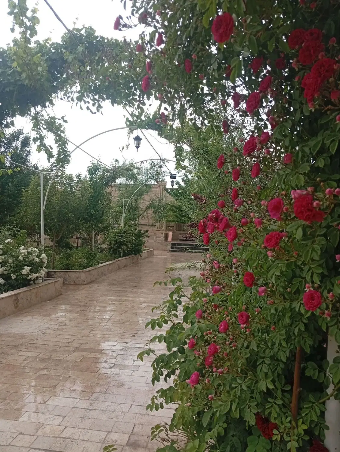 باغ استخر دار شاهنامه۷۶