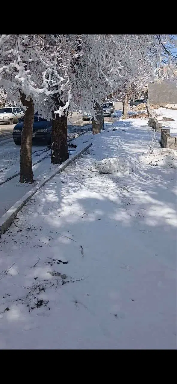 زمین ۲۲۰ متری جای خیلی عالی شهر چادگان