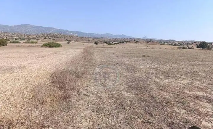 دوقطعه زمین در شادآباد مشایخ