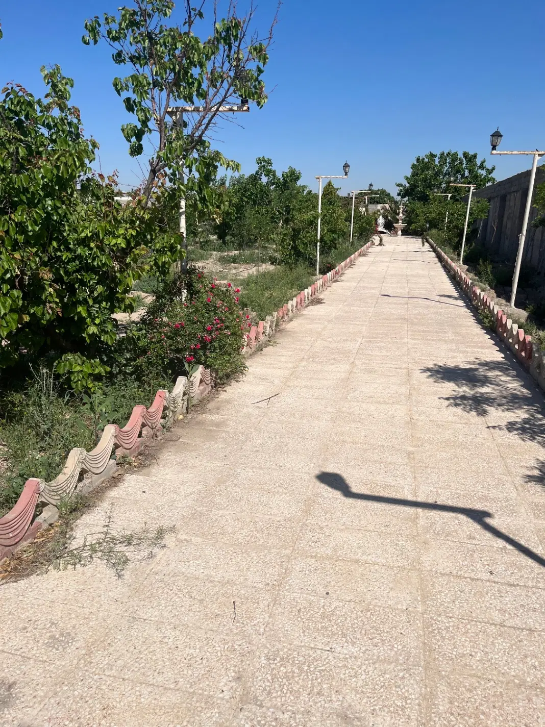 باغ جیتو
