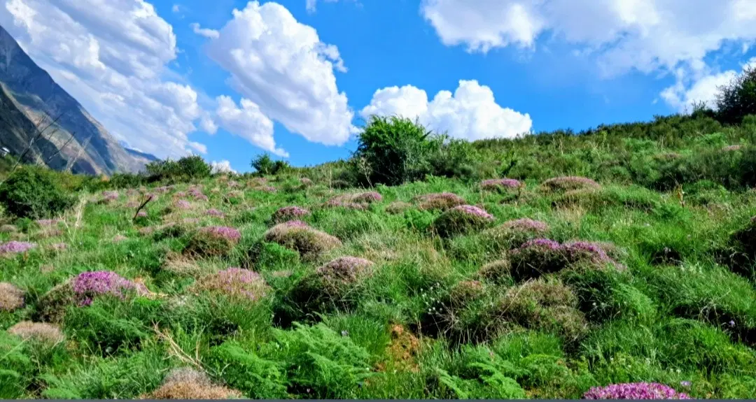 ۳۰۰ متر زمین ویلایی قابل ساخت