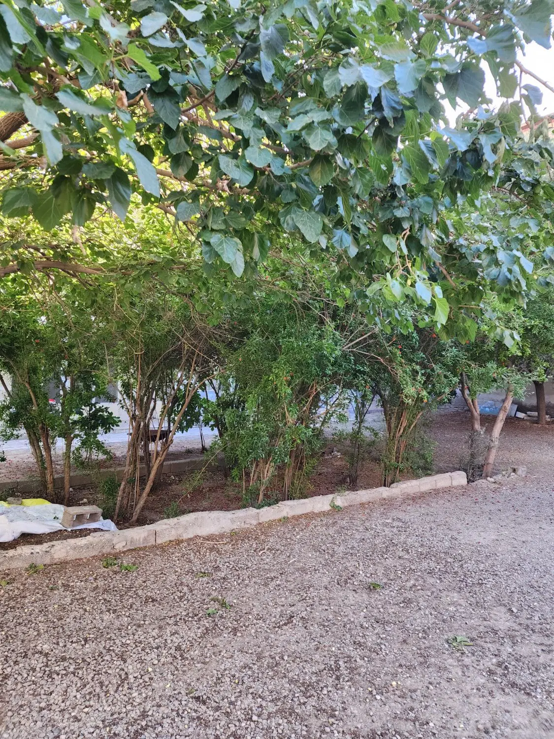فروش خانه باغ ویلایی دنج و آرام_ سند تک برگ