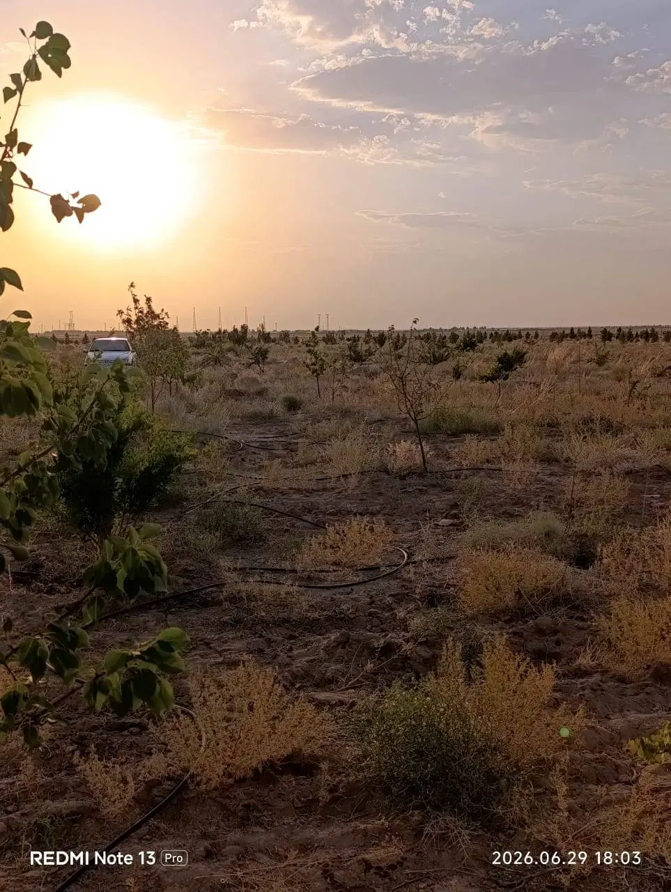 فروش باغ