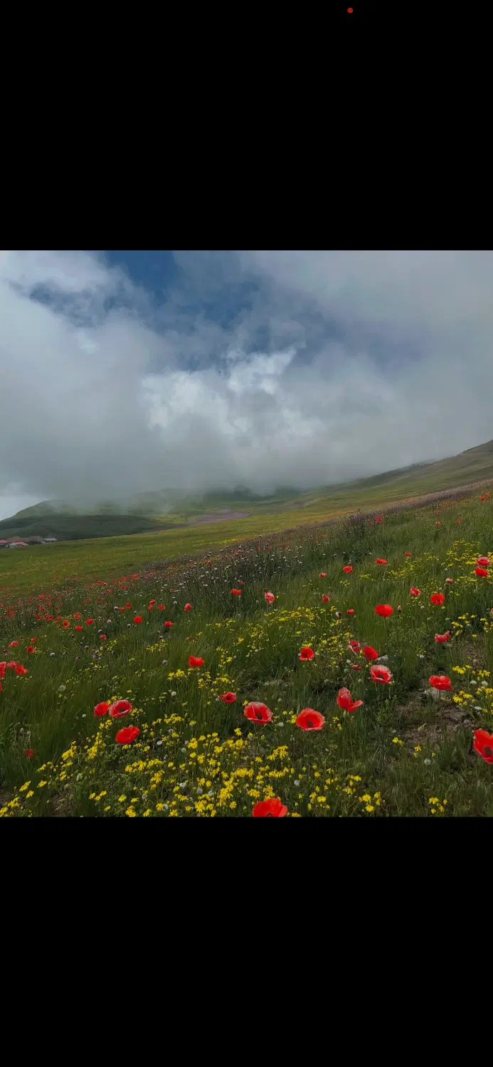 زمین در ییلاق شکردشت