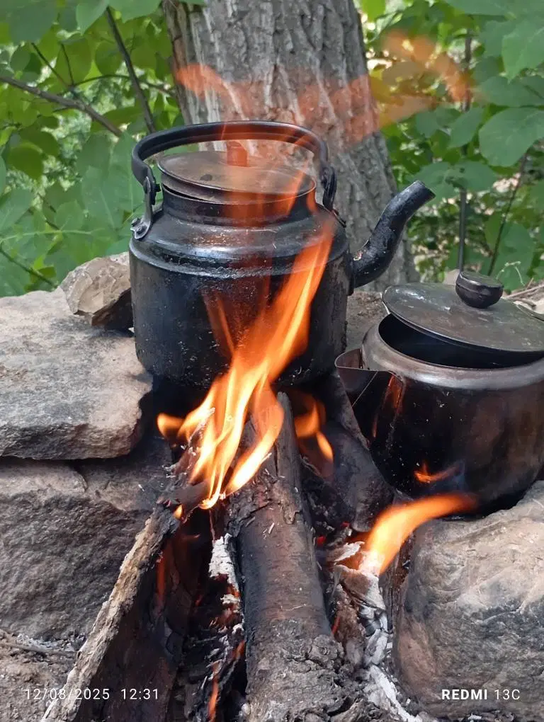 زمین زراعی دارای درختان میوه ،خوش آب و هوا