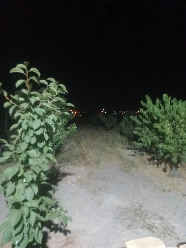 باغ  (خانه باغ) نزدیک شهر