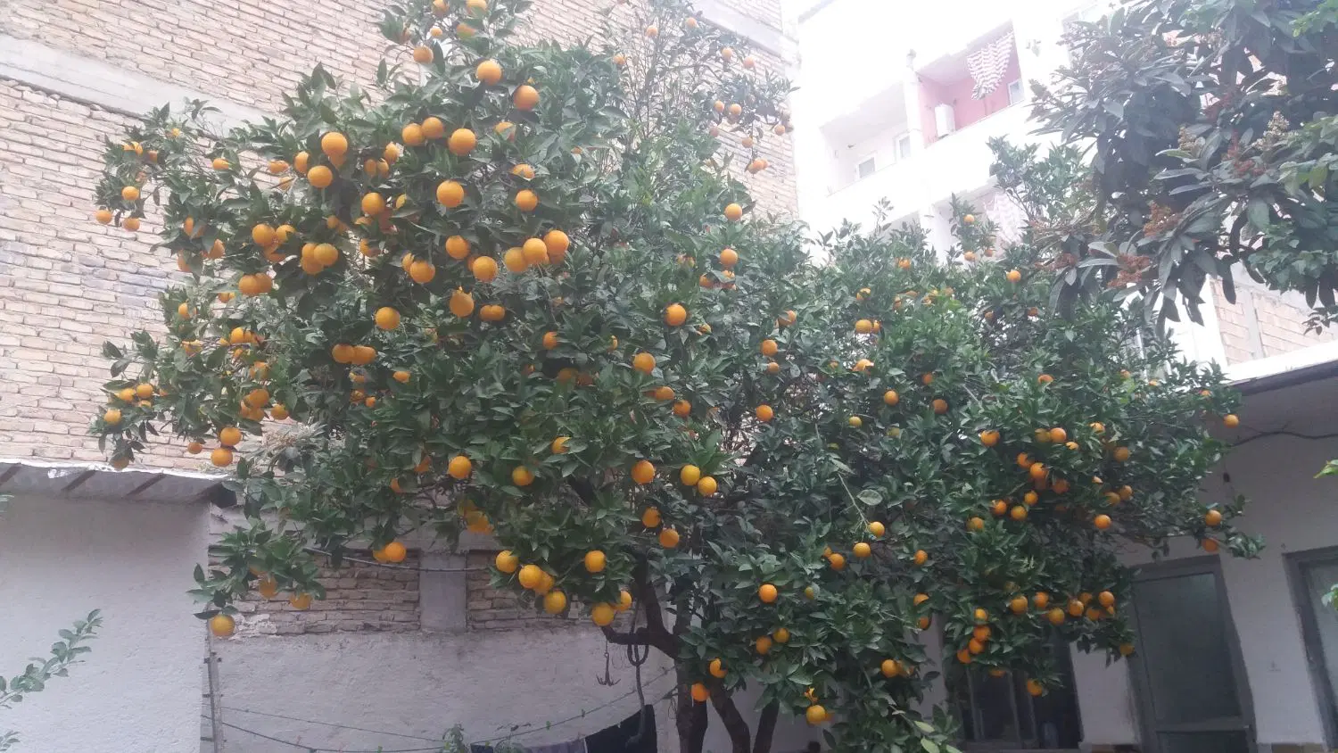 خانه ویلایی کلنگی