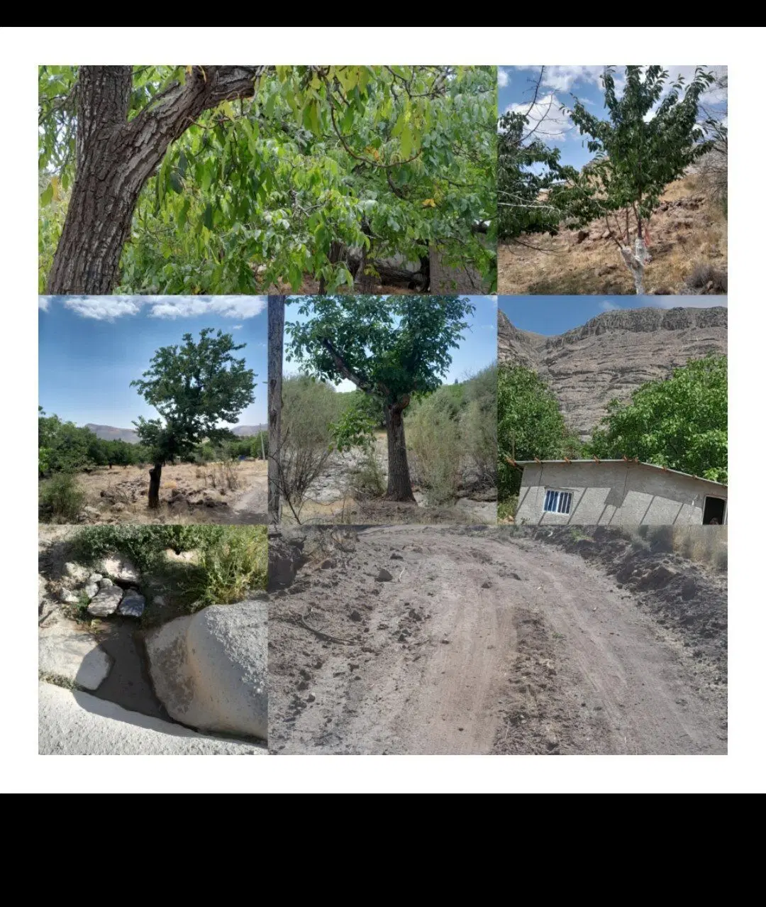 خونه ویلایی نوساز ومبله ودرخت گردو وغیره