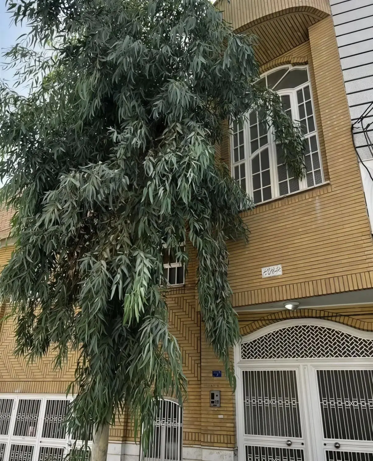 ویلایی_ ۱۶۹_ سالاریه