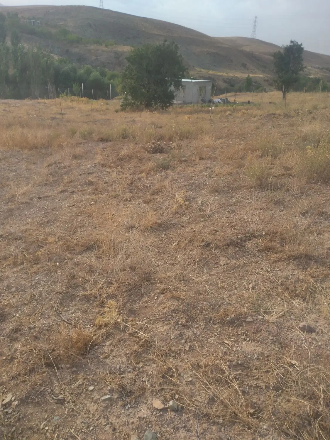 زمین کشاورزی