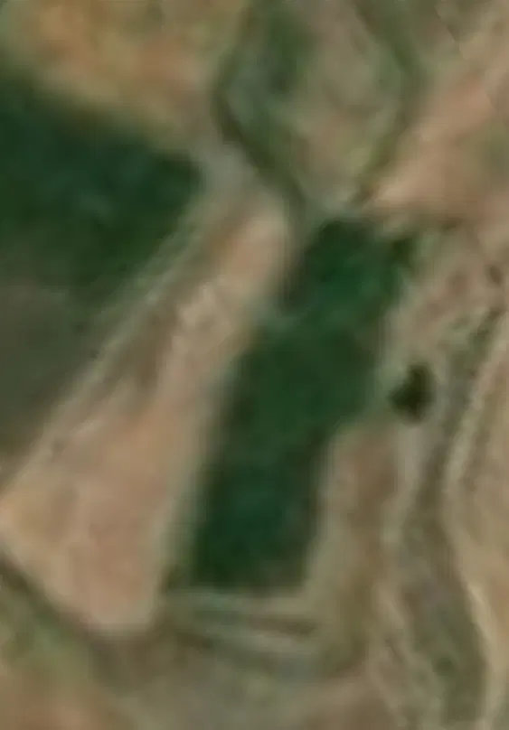 ملک در اسپیران آغاج اوغلی