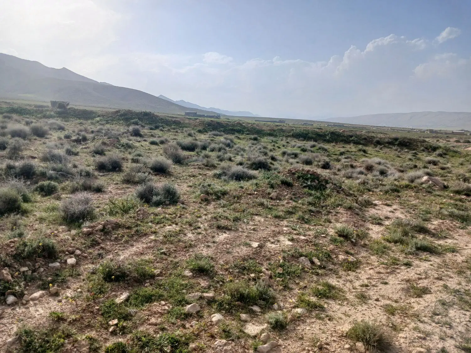 باغ شهری داریون