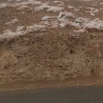 زمین مسکو نی.   ازناو