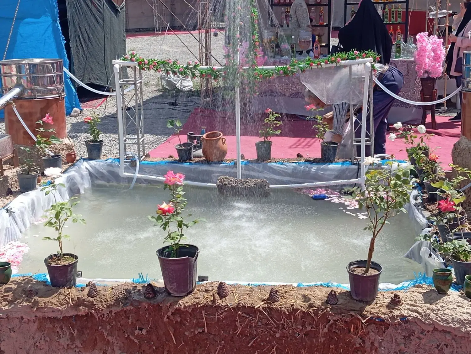 گلابگیری زنده