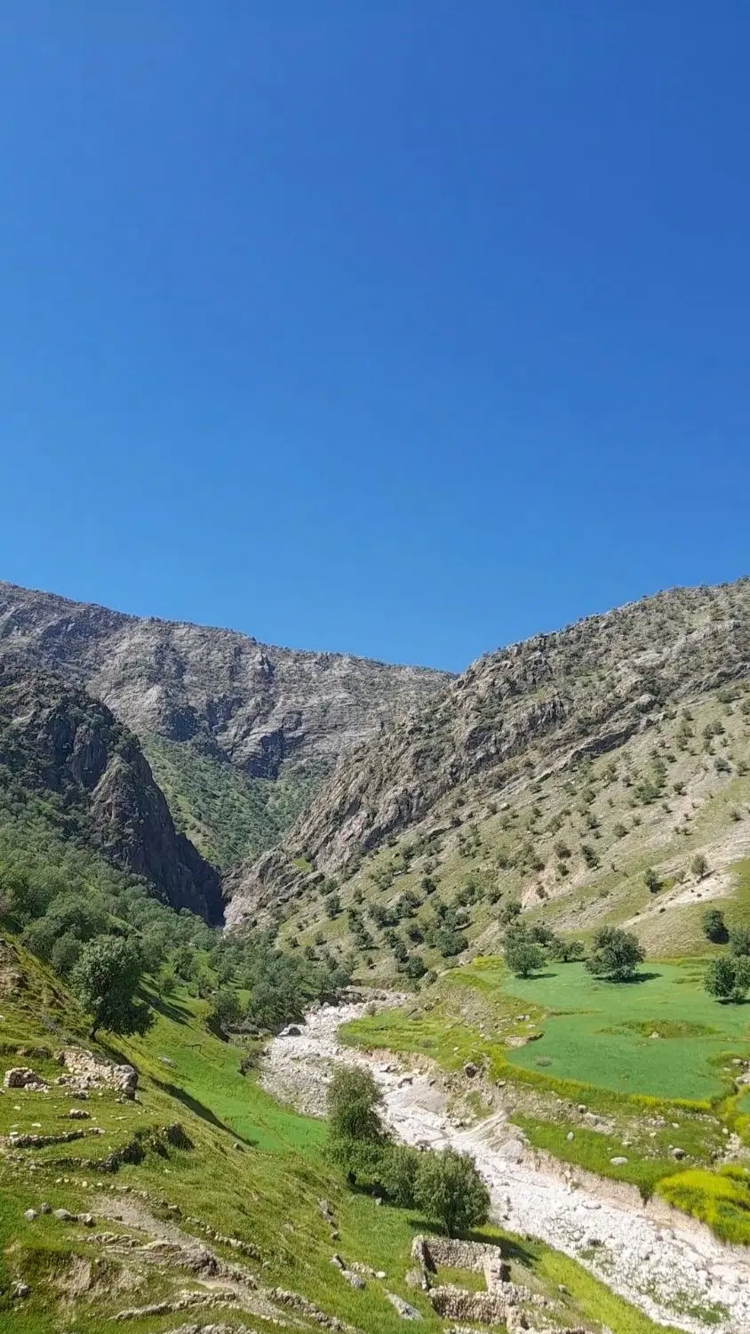 رهن کامل ویلایی طبقه پایین-۹۰ هکتاری