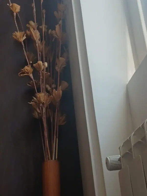 مغازه ۱۷ متر