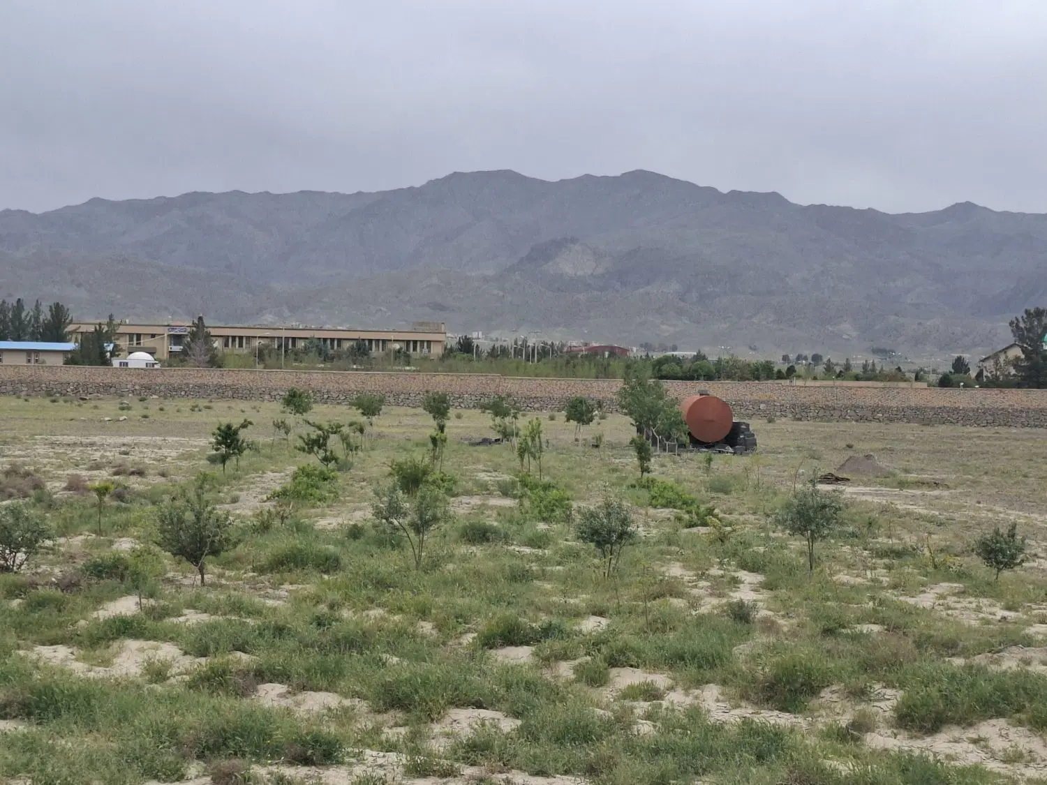 زمین مزروعی کنار دانشگاه پیام نور