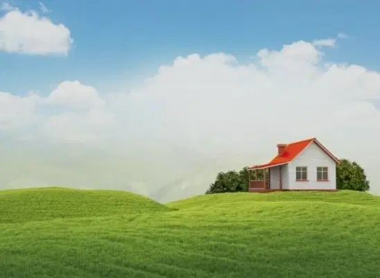 زمین باغی برای تفریح