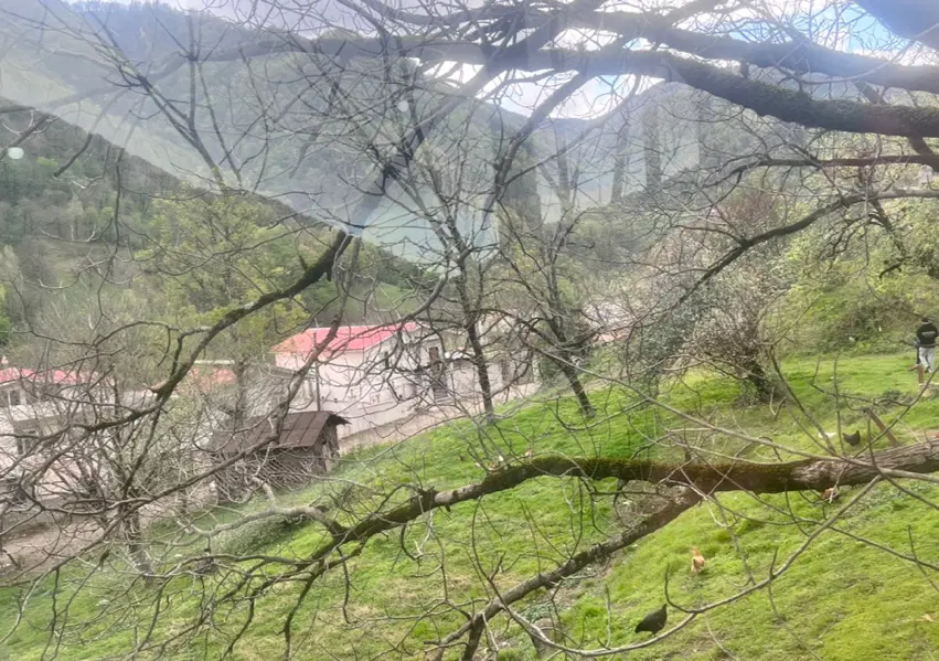 زمین مسکونی خیابان ازادی سند دار