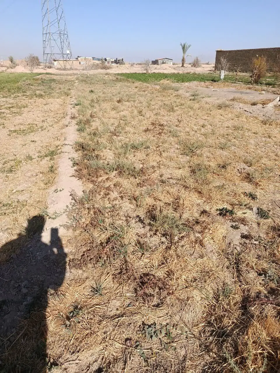 زمین ۴۷۹ متر سندار