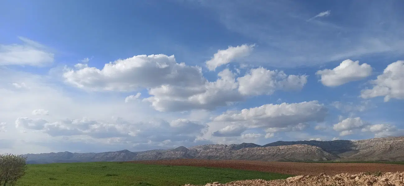 زمین شهرک فرمانداری