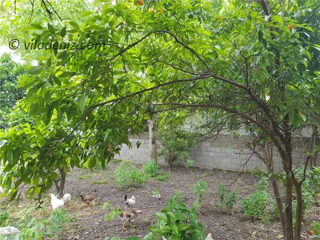 فروش زمین در اقدسیه کردان چهارباغ افشاریه
