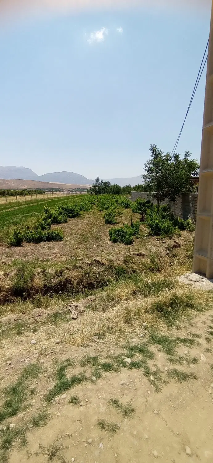 فروش باغ هزارمتری،