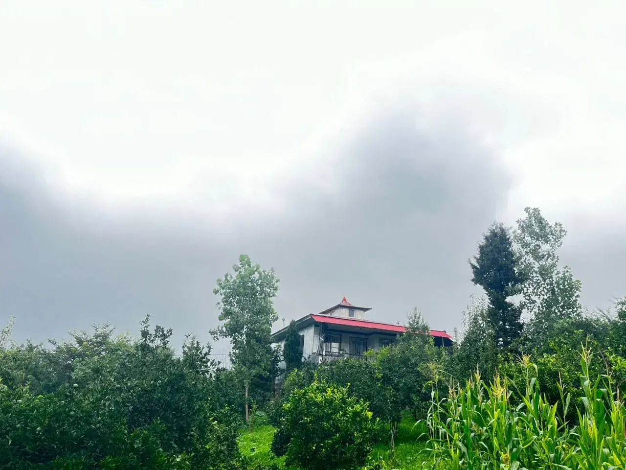 خونه باغ نارنجستان