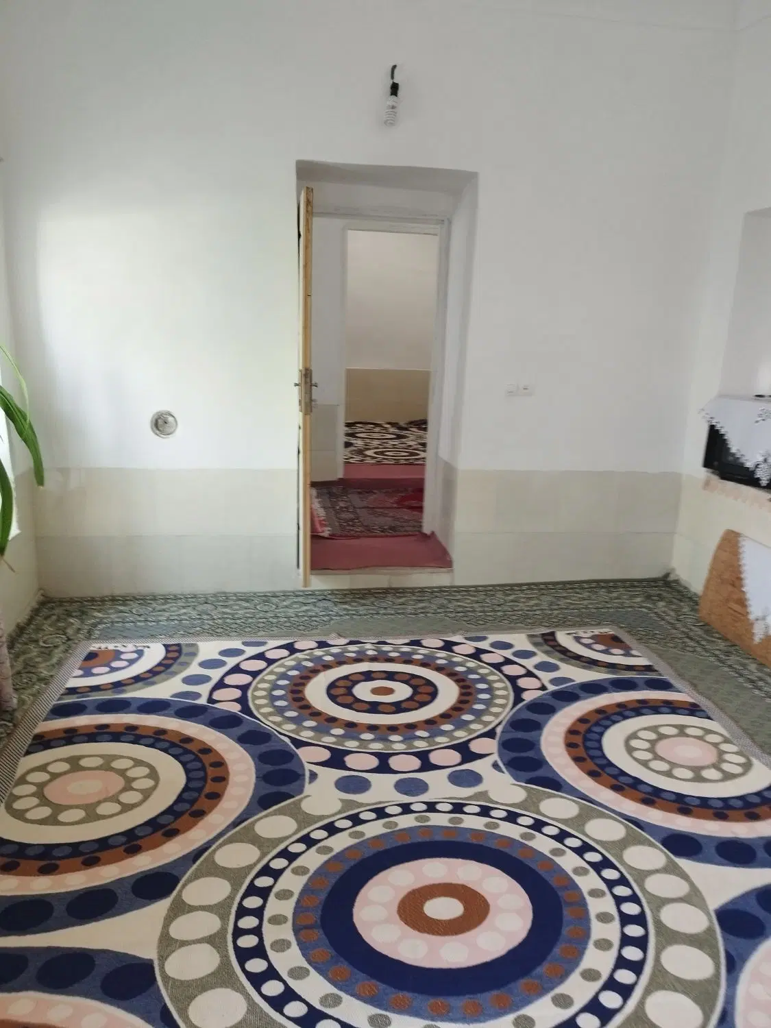 راین خانه
