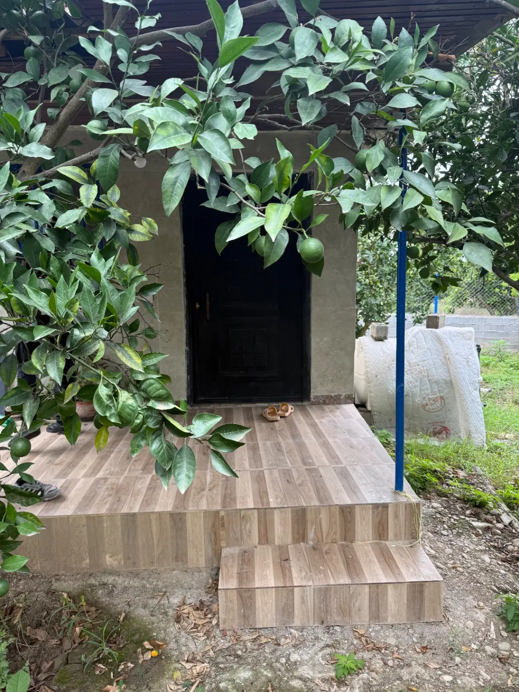 خونه باغ ۲۴۸ متری (شمال)