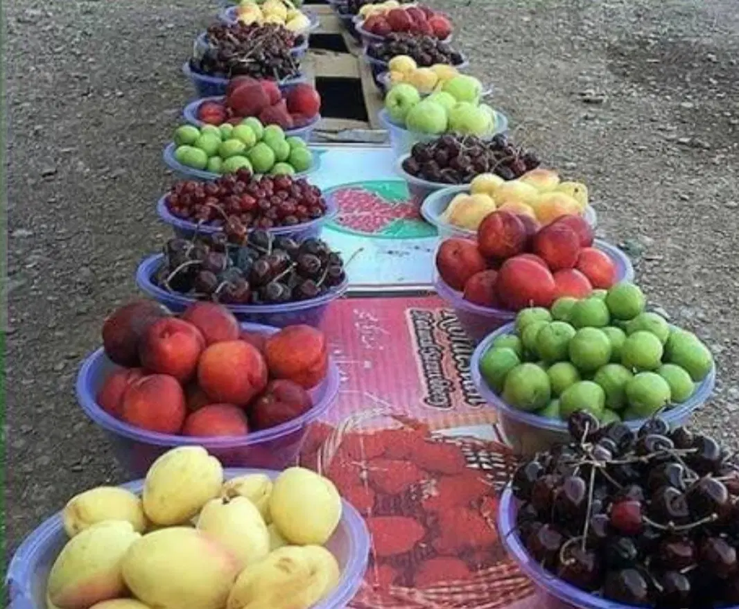 باغ معاوضه