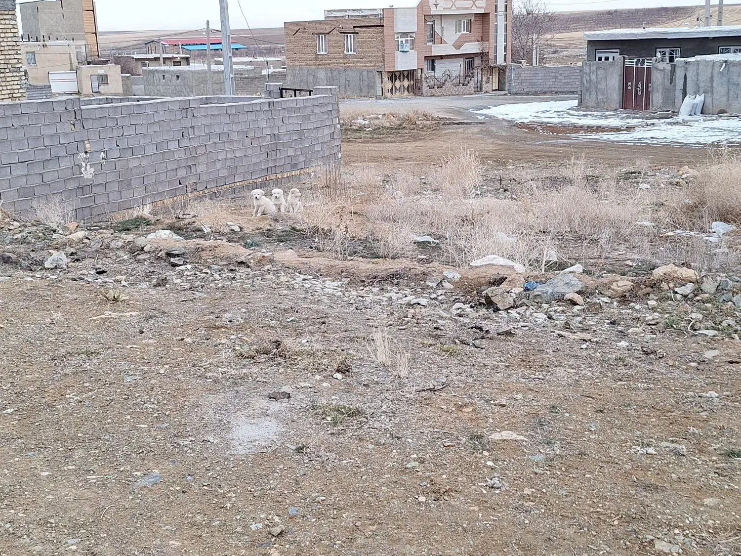 زمین۳۴۰ متری۳ نبش