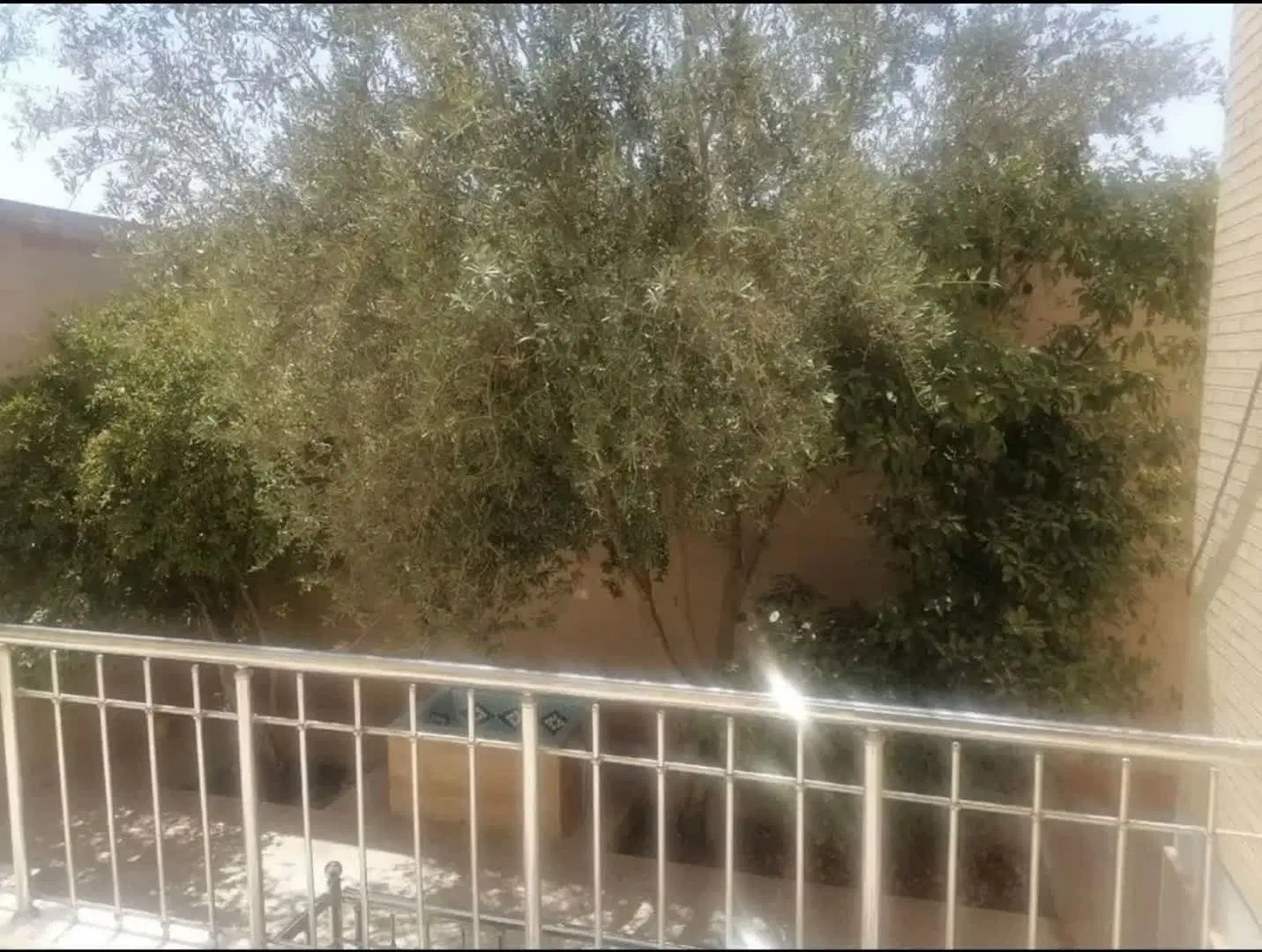 همکف شهرک دانشگاه صفائیه