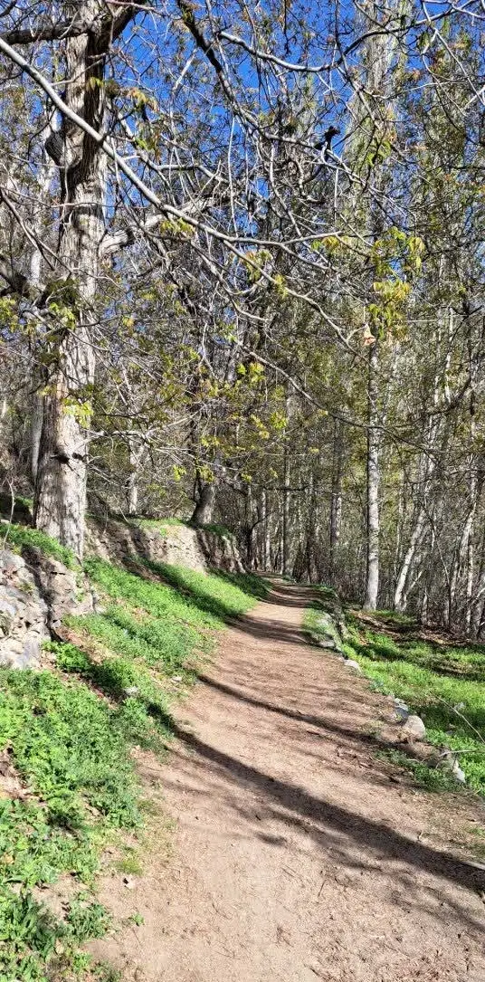 زمین فروشی جهت ویلا در روستای زیبای مرق