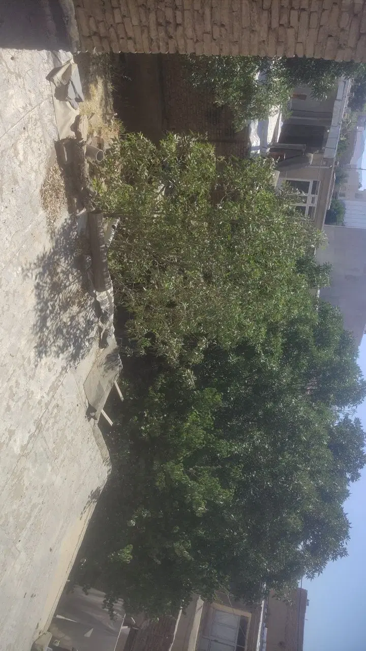ملک کلنگ مریانج با مجوز ساخت