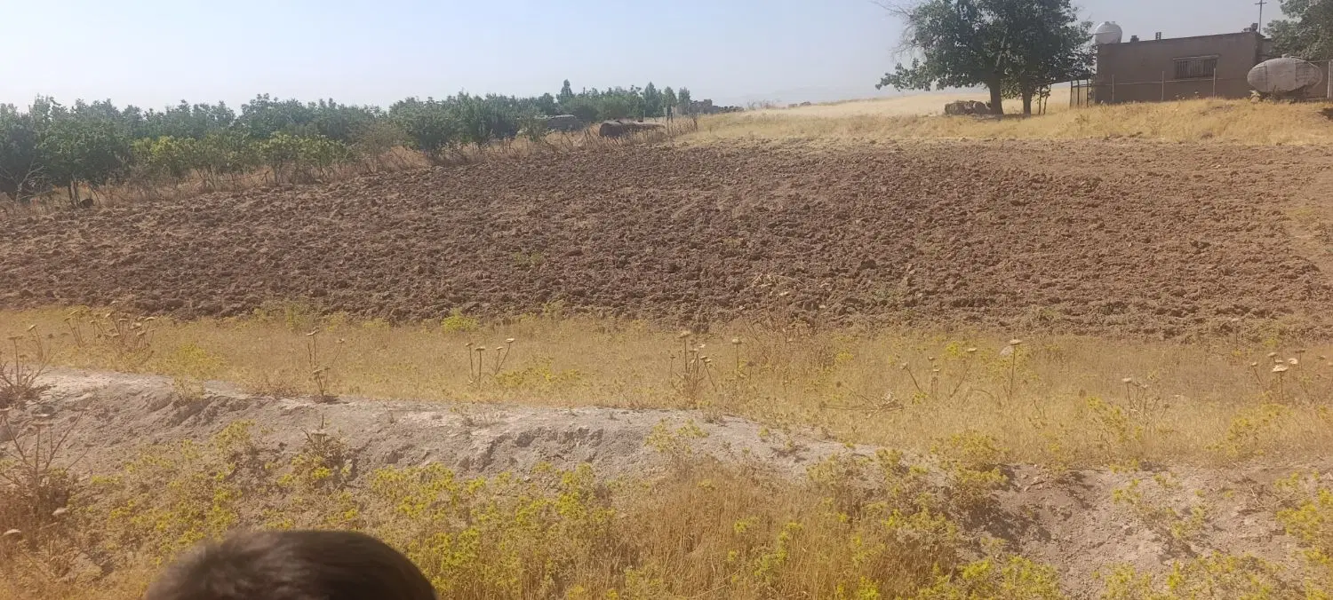 زمین مناسب باغ گلخانه