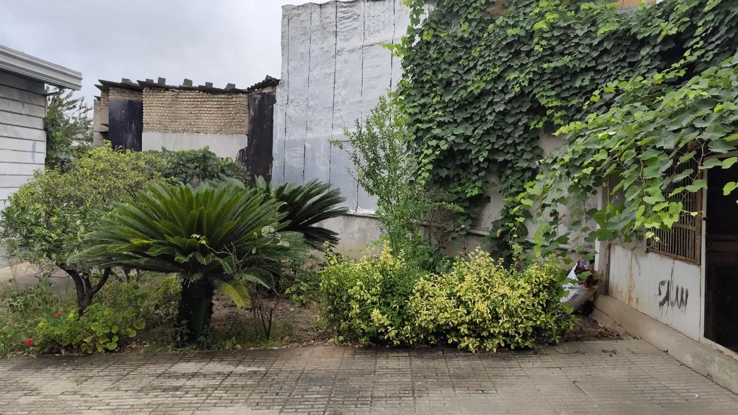 اجاره خانه حیاط دار ویلایی