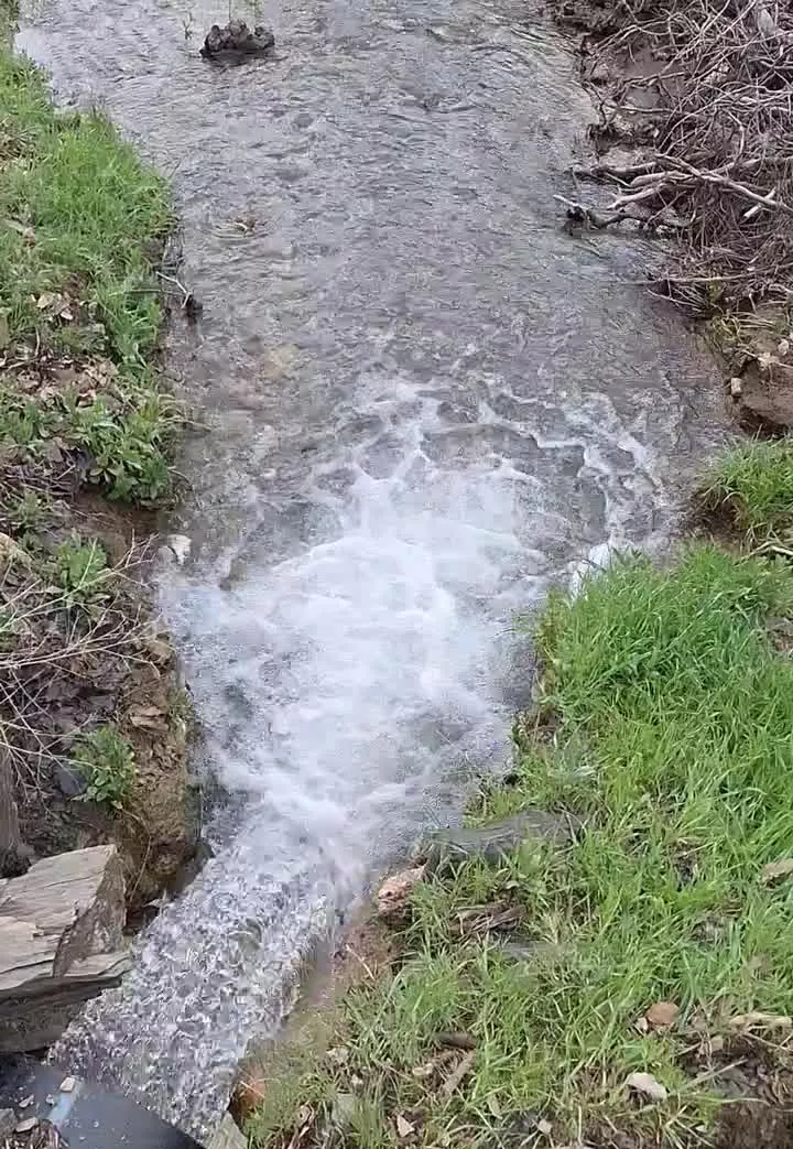 باغ انگور متری ۲۰۰