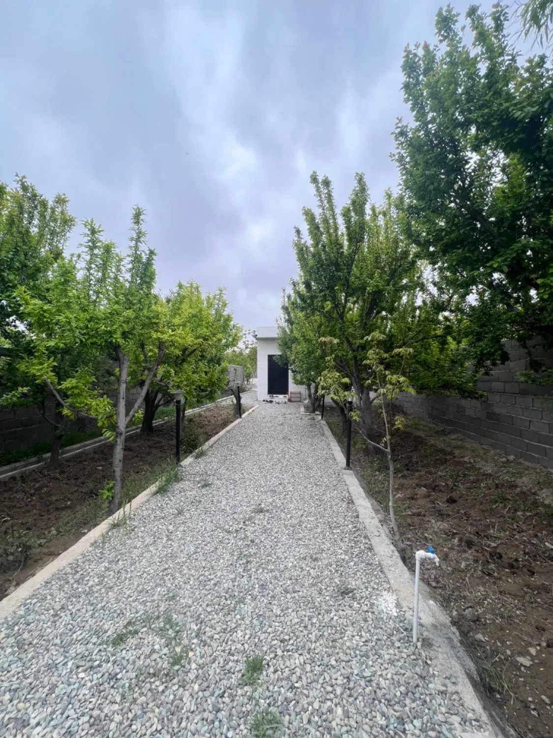 فروش ۲۲۰۰متر باغ داخل نان ماشینی