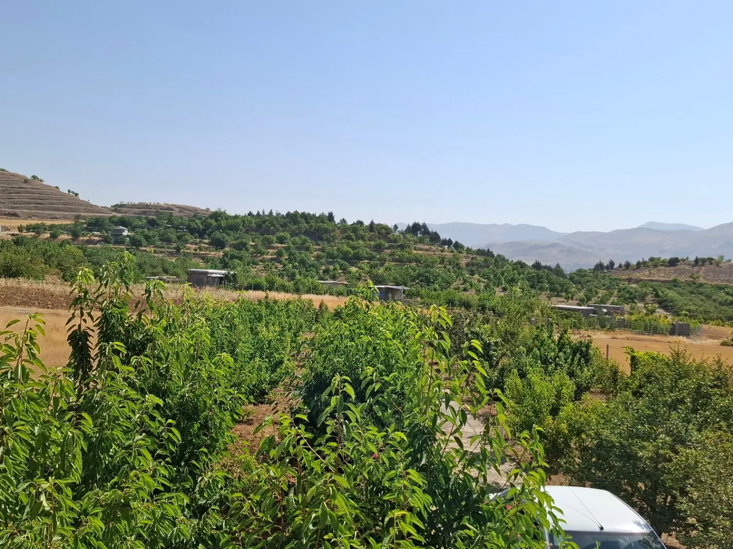 فروش باغ