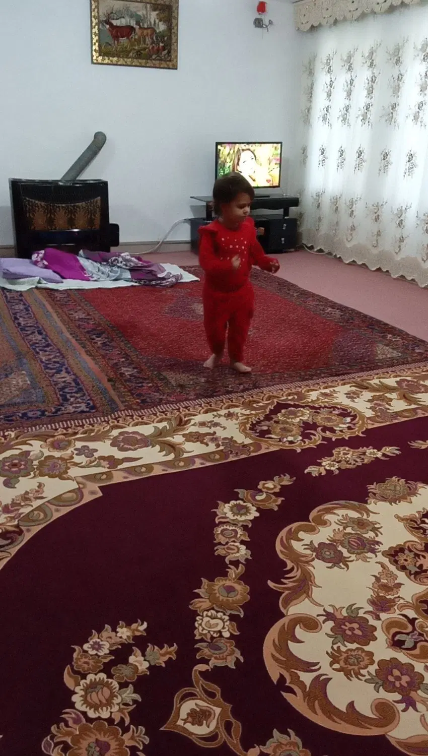 زمین و ویلایی